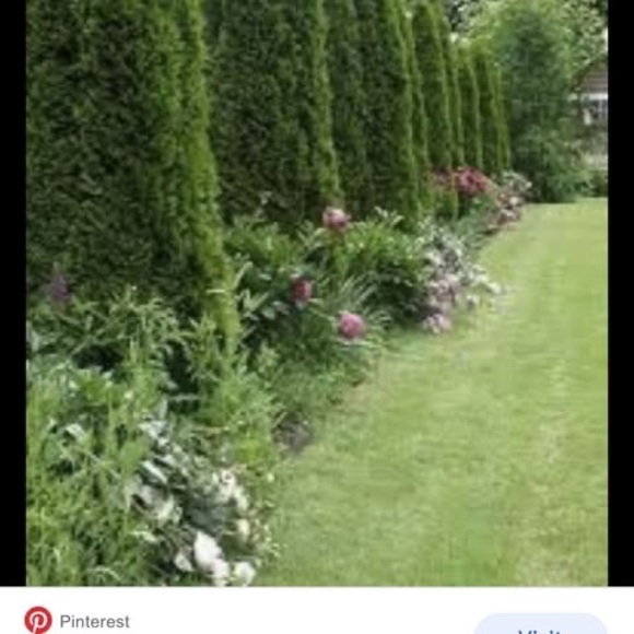 Meet your Posher, An - Picture 1 of 1